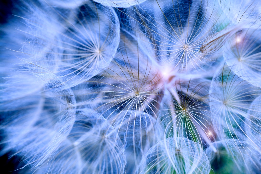 Intuitive Intelligence Sydney, Kerrie Higgins & Zoe Cooper | 19 Headwater Pl, Albion Park NSW 2527, Australia | Phone: 0407 239 996