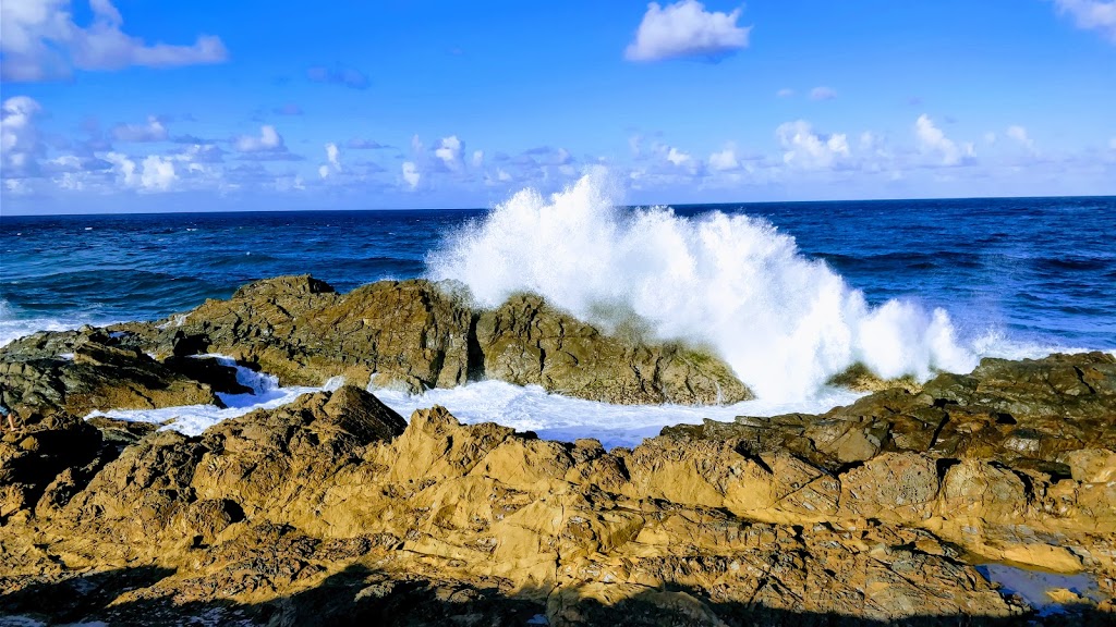 Brunswick Heads Nature Reserve | Brunswick Heads NSW 2483, Australia