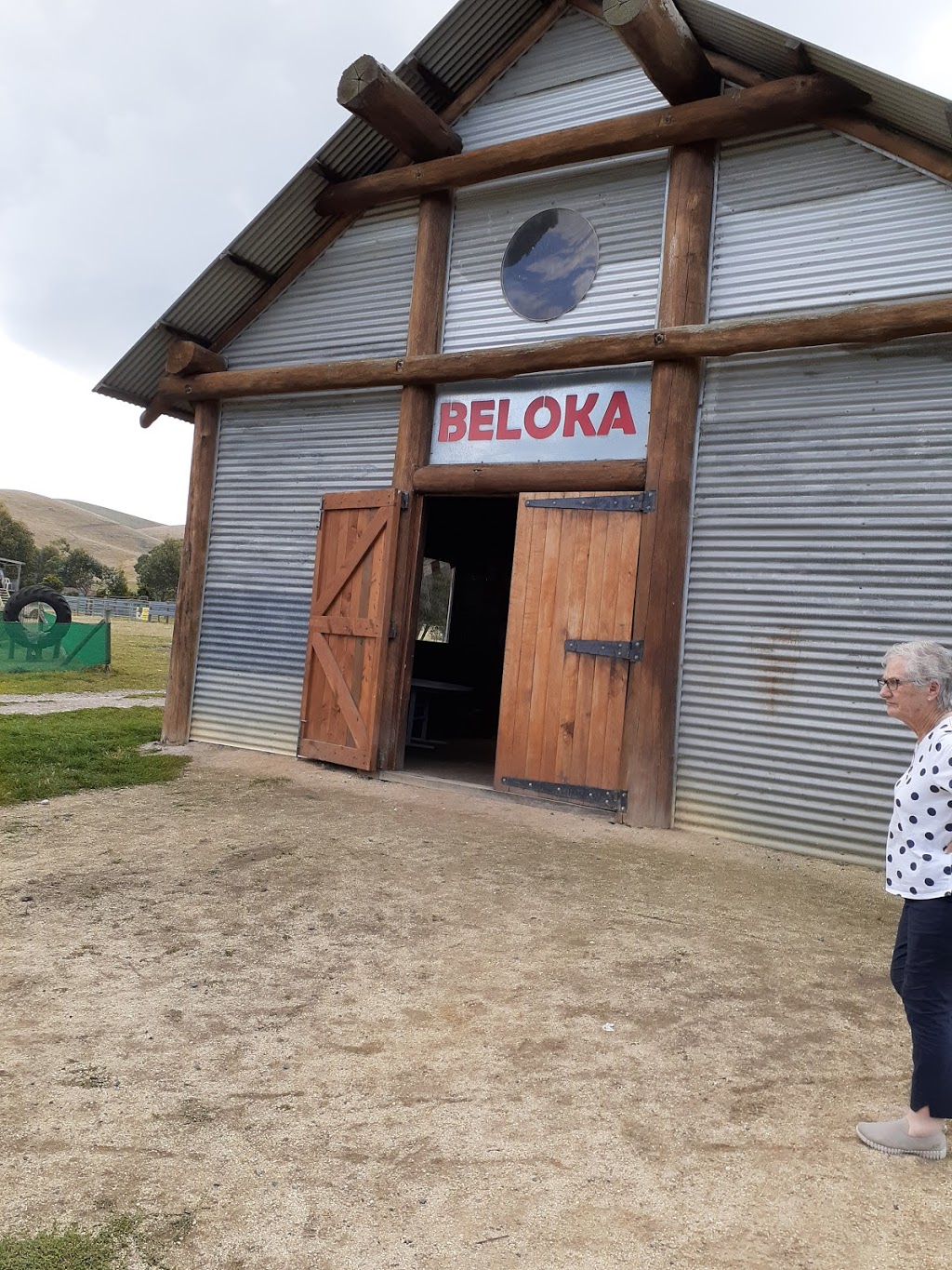 Beloka Kelpie Stud | 5845 S Gippsland Hwy, Welshpool VIC 3966, Australia | Phone: 0418 335 306