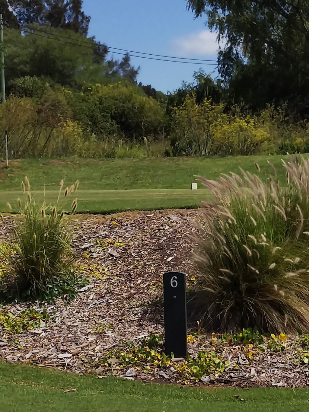 Kogarah Golf Club | 19 Marsh St, Arncliffe NSW 2205, Australia | Phone: (02) 9567 0334