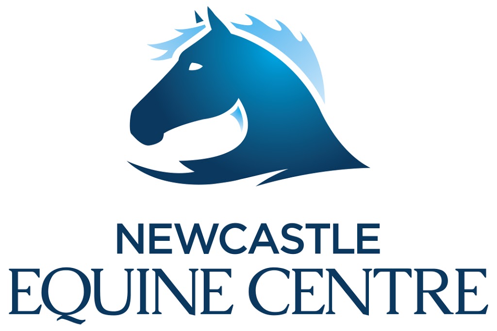 Newcastle Equine Centre | veterinary care | Lowe St, Broadmeadow NSW 2292, Australia | 0249276135 OR +61 2 4927 6135