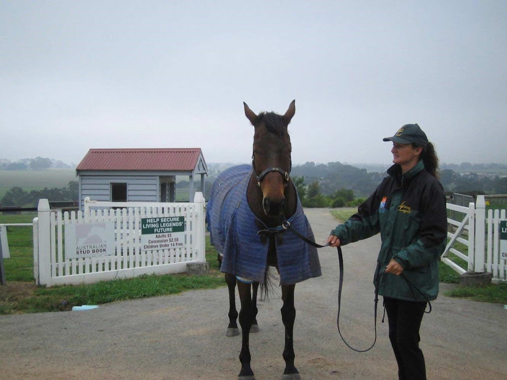 G C Horse Transport | 1 Cyril Beechey Ln, Cranbourne VIC 3977, Australia | Phone: (03) 5996 6281