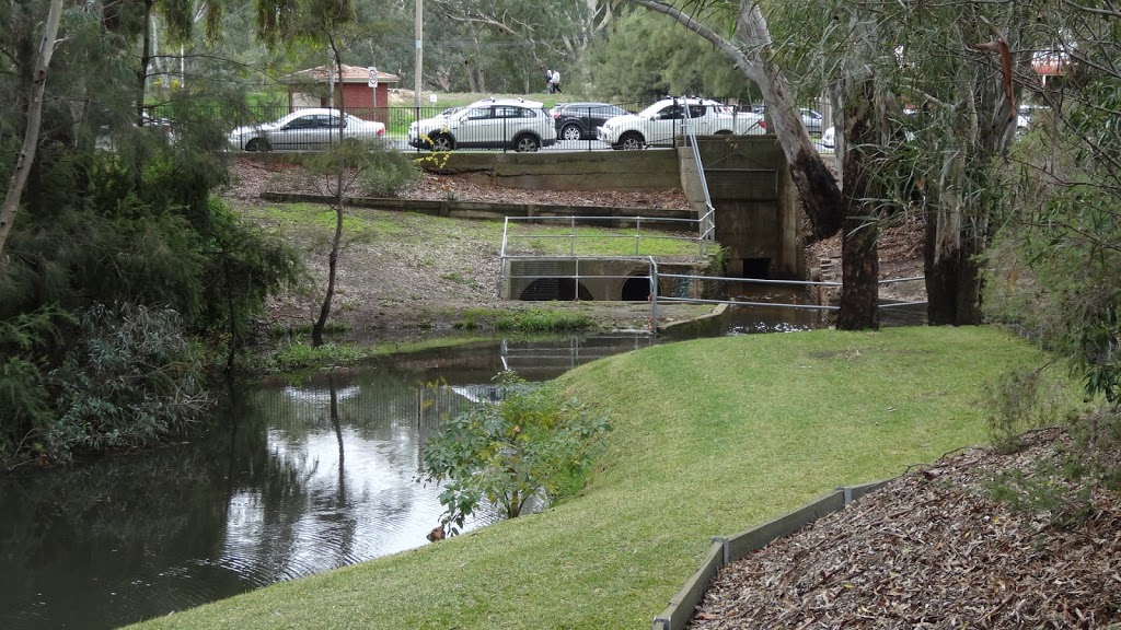 Tony Ireland Park | park | 73 Berry St, Wagga Wagga NSW 2650, Australia