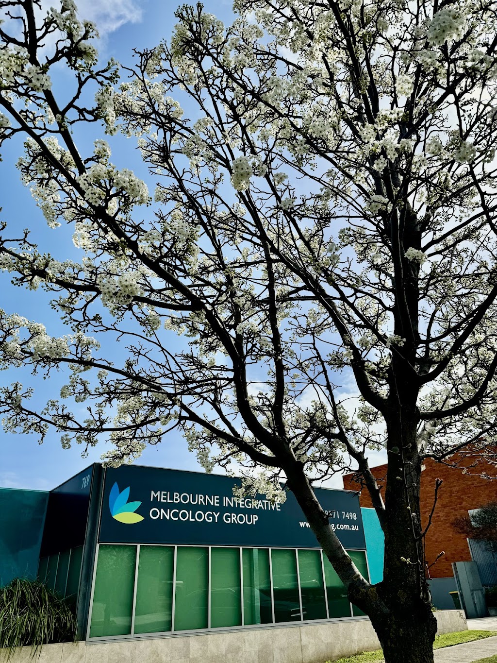 Melbourne Integrative Oncology Group | 769 South Rd, Bentleigh East VIC 3165, Australia | Phone: (03) 9571 7498
