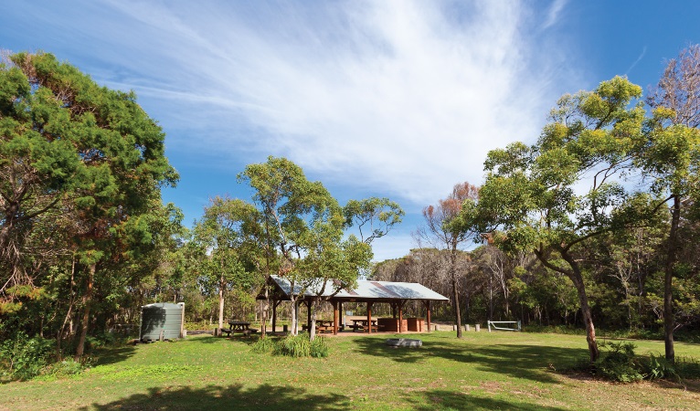 Illaroo group camping area | campground | Illaroo Beach Access Track, Minnie Water NSW 2462, Australia | 1300072757 OR +61 1300 072 757
