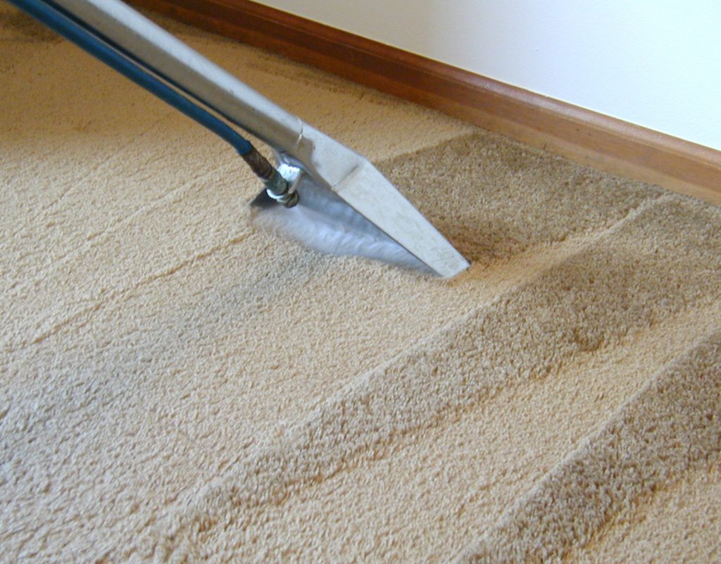 Carpet Cleaning Springfield Lakes | funeral home | 6 Neptune Street, Springfield Lakes, QLD 4300, Australia | 1800338554 OR +61 1800 338 554