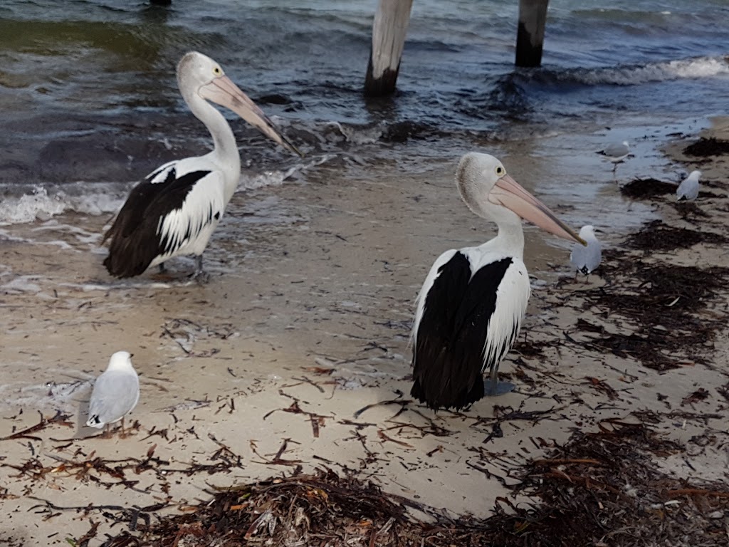 Tumby Bay Jetty | Gulf, Spencer NSW 2775, Australia | Phone: (08) 8688 2101