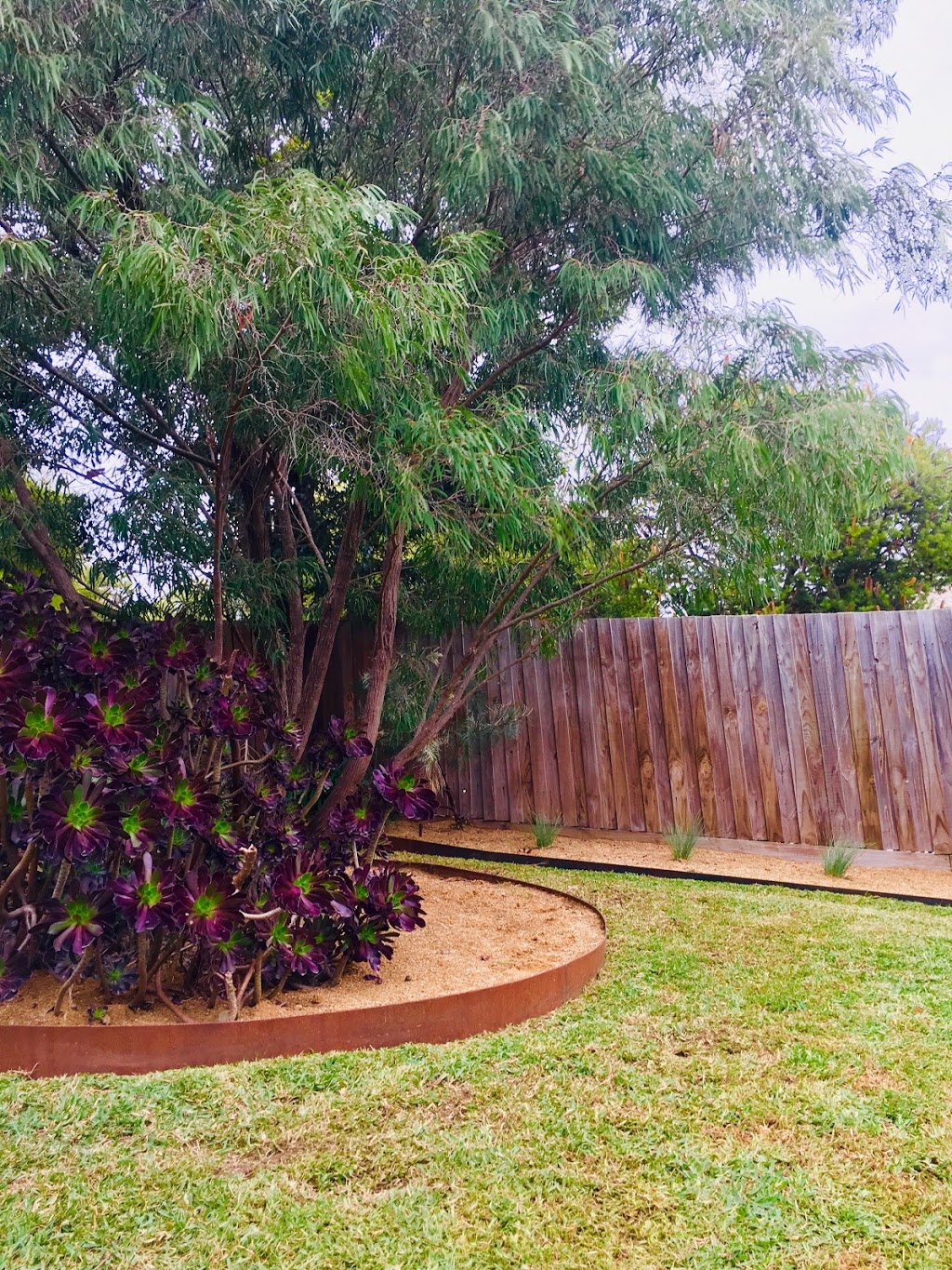 Bloomberry Garden Maintenance | 39 Cornwall Cres, Mount Martha VIC 3934, Australia | Phone: 0407 552 078