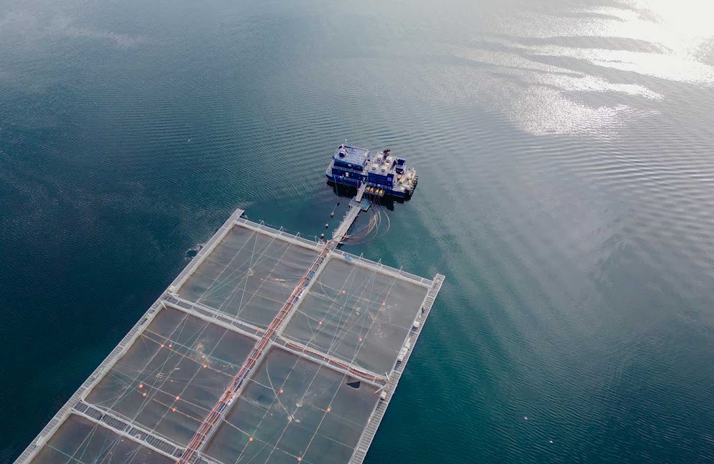 Global Ocean | 45 Ferry Rd, Kettering TAS 7155, Australia | Phone: 0407 567 503