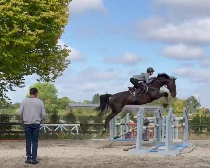James Equestrian | 188 Armstrong Rd, Biddaddaba QLD 4275, Australia | Phone: 0422 171 421