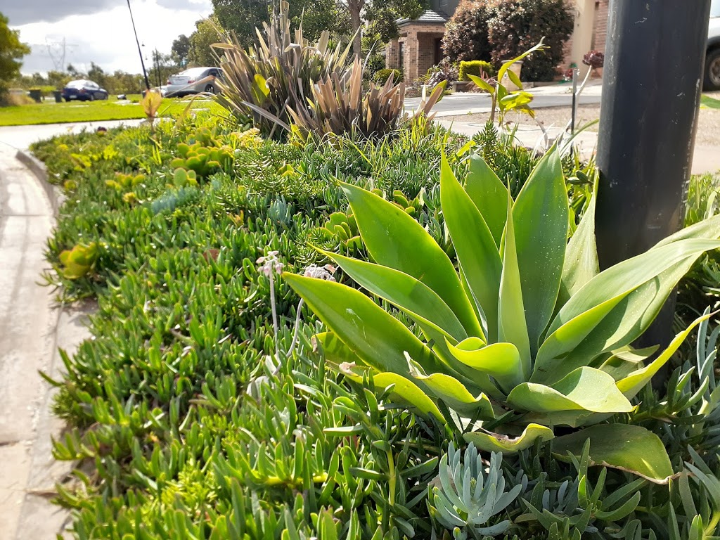 Naturestrip of Succulents | park | Epping VIC 3076, Australia