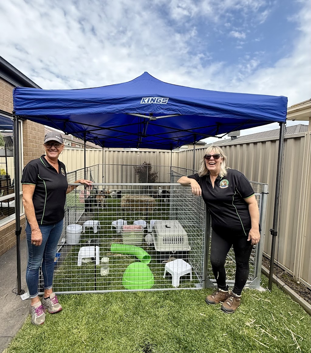 Noah’s Ark Mobile Animal Farm & Petting Zoo | 45 Gleeson Rd, Tynong VIC 3813, Australia | Phone: 0402 008 321