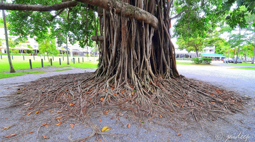 ANZAC War Memorial | park | Port Douglas QLD 4877, Australia