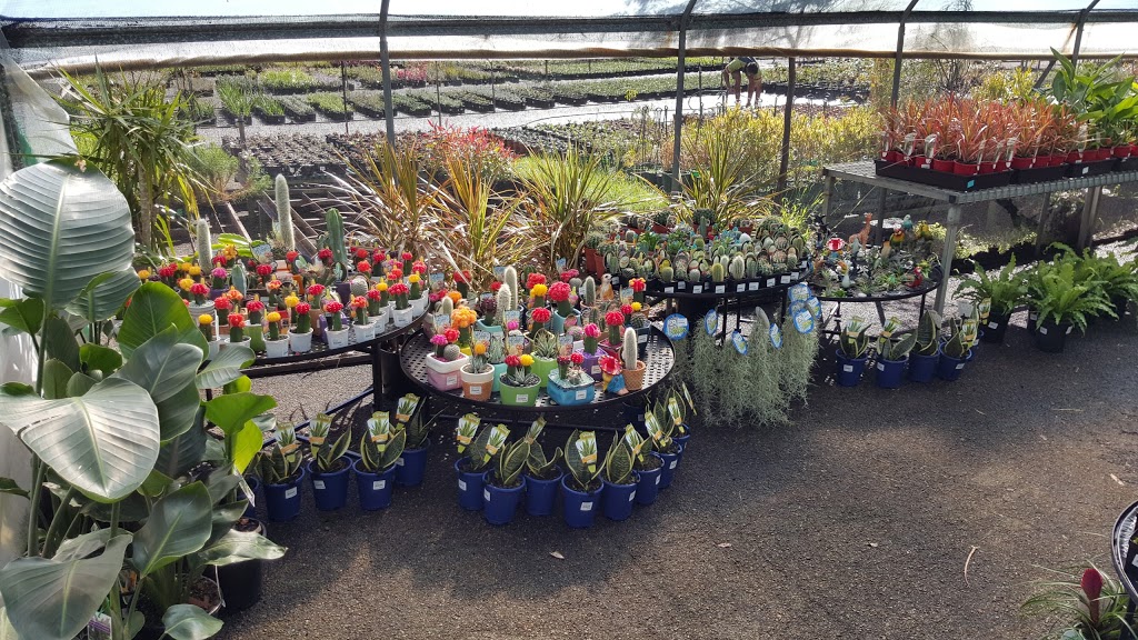 Plants Plus Cumberland Forest | store | 95 Castle Hill Rd, West Pennant Hills NSW 2125, Australia | 0298713222 OR +61 2 9871 3222