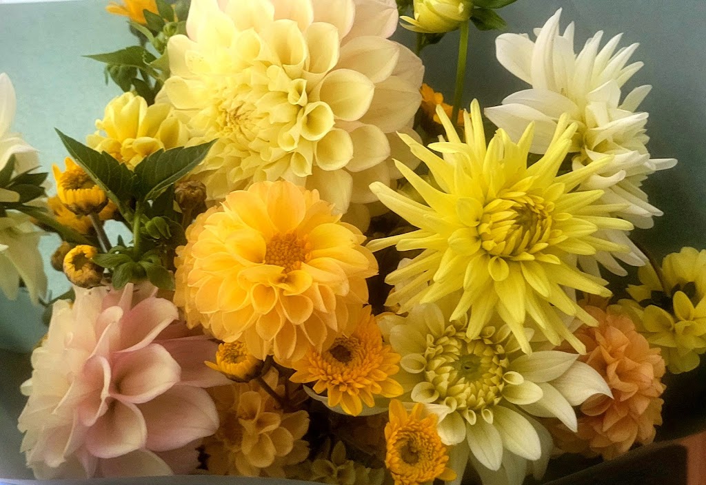 Beautiful blooms Guyra | 19 Lakeview Rd, Guyra NSW 2365, Australia | Phone: 0497 761 444