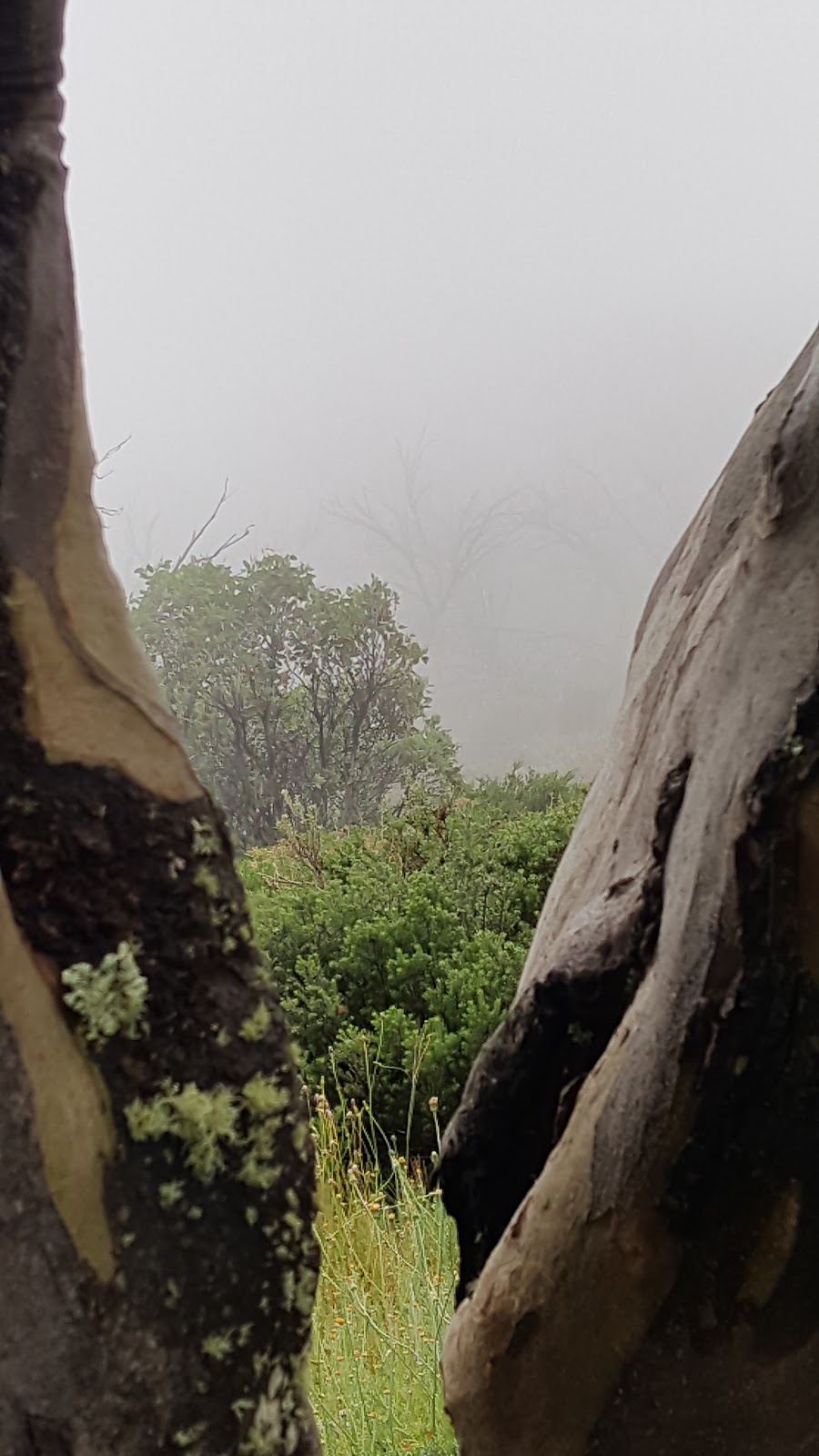 GGS Hut | Stirling Trail, Mount Buller VIC 3723, Australia