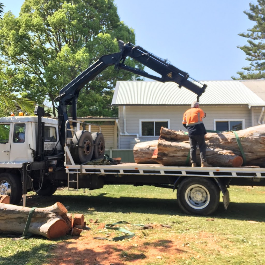 Complete tree worx |  | Pox 7226, Wilberforce NSW 2756, Australia | 0421770859 OR +61 421 770 859