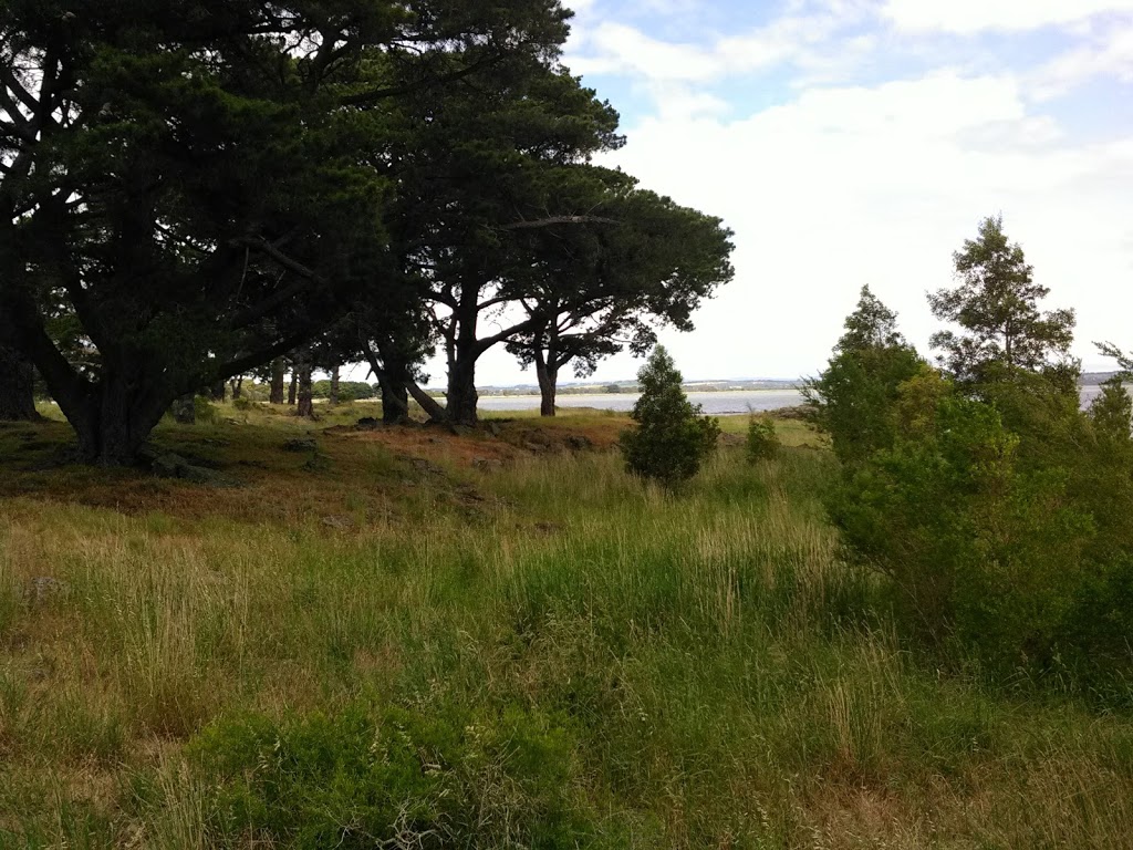 Meredith Park Camping Grounds | park | 175 Meredith Park Rd, Ondit VIC 3249, Australia