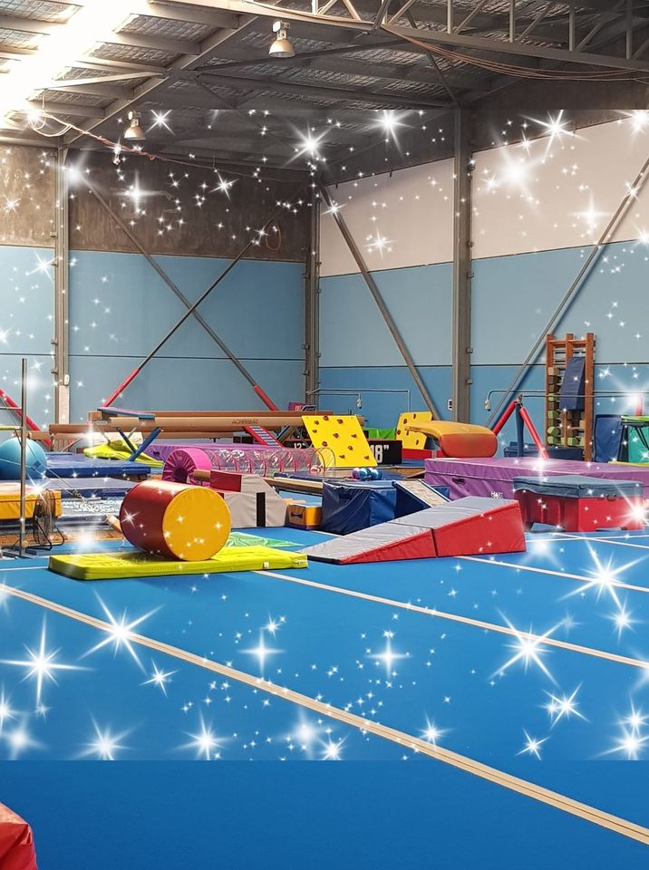 Advance Academy of Gymnastics Barnsley | Unit 2b/55 Northville Dr, Barnsley NSW 2278, Australia | Phone: (02) 4959 9333
