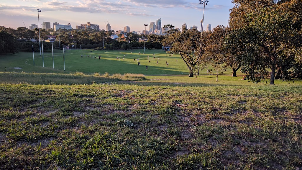 Mount Steele | park | Cleveland St, Moore Park NSW 2021, Australia