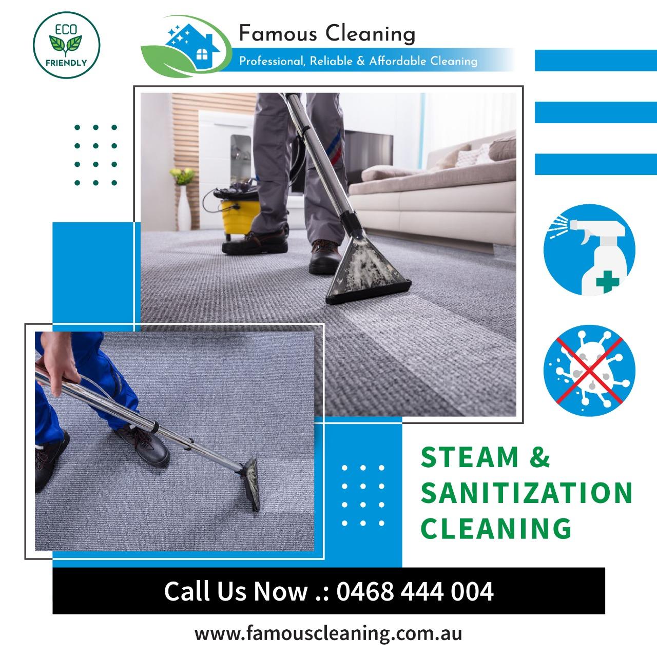 Famous Cleaning | home goods store | 4 Redwood Dr, Parafield Gardens SA 5107, Australia | 0468444004 OR +61 468 444 004