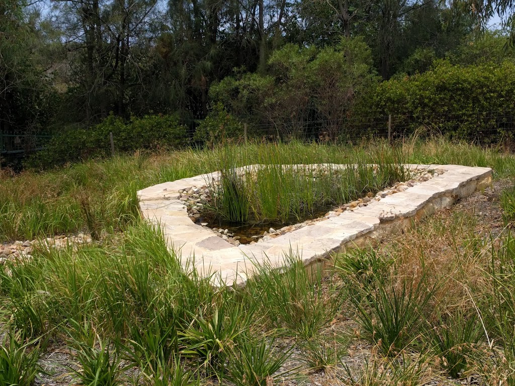 Frog Pond | park | Rosebery NSW 2018, Australia | 0292659333 OR +61 2 9265 9333