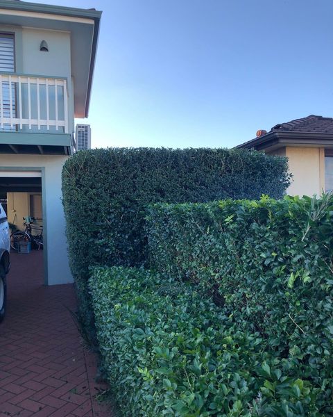 B3 landscapes | 25 Harden St, Canley Heights NSW 2166, Australia | Phone: 0432 604 687