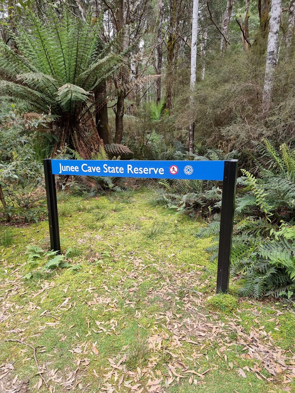 Creepy Crawly Trail | tourist attraction | Scotts Peak Dam Rd, Southwest TAS 7139, Australia | 1300827727 OR +61 1300 827 727