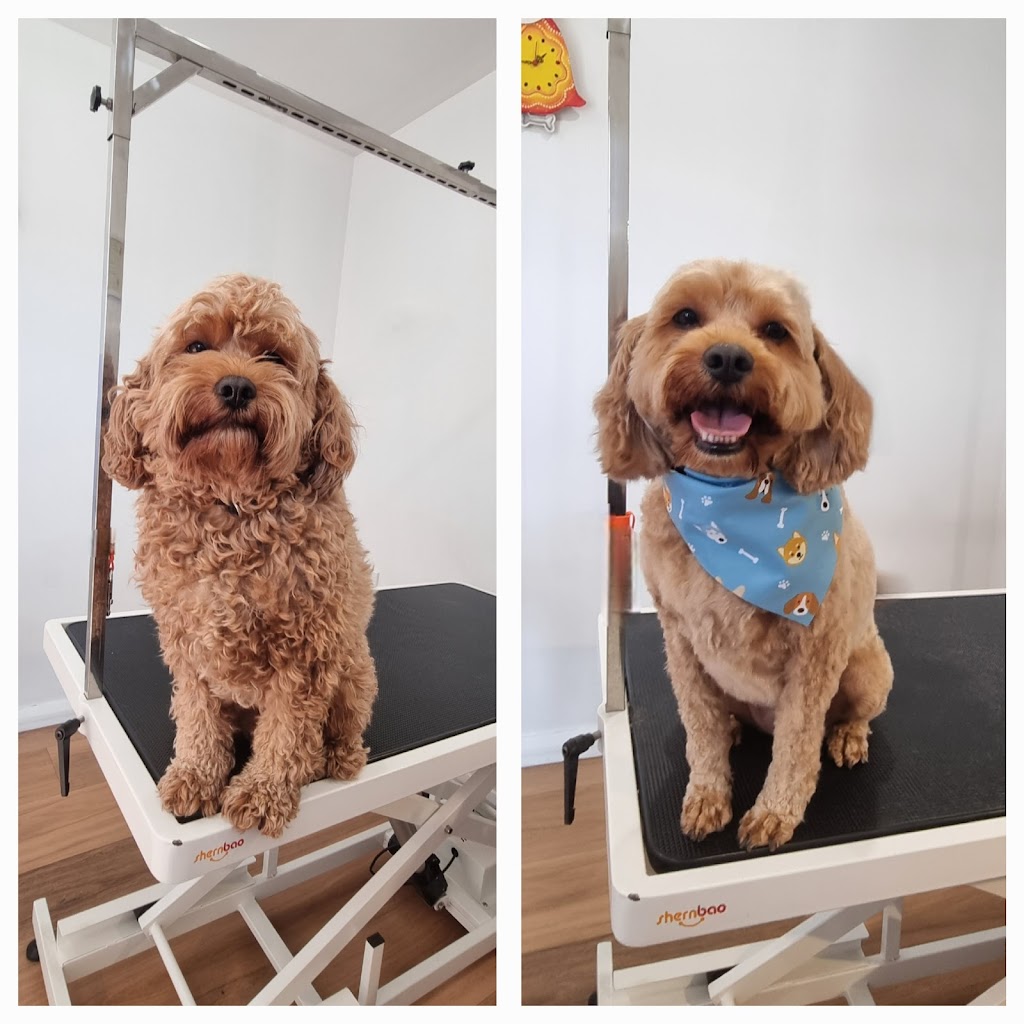 Alpine Doggy DTailing | 2 Mathews St, Myrtleford VIC 3737, Australia | Phone: 0456 698 455