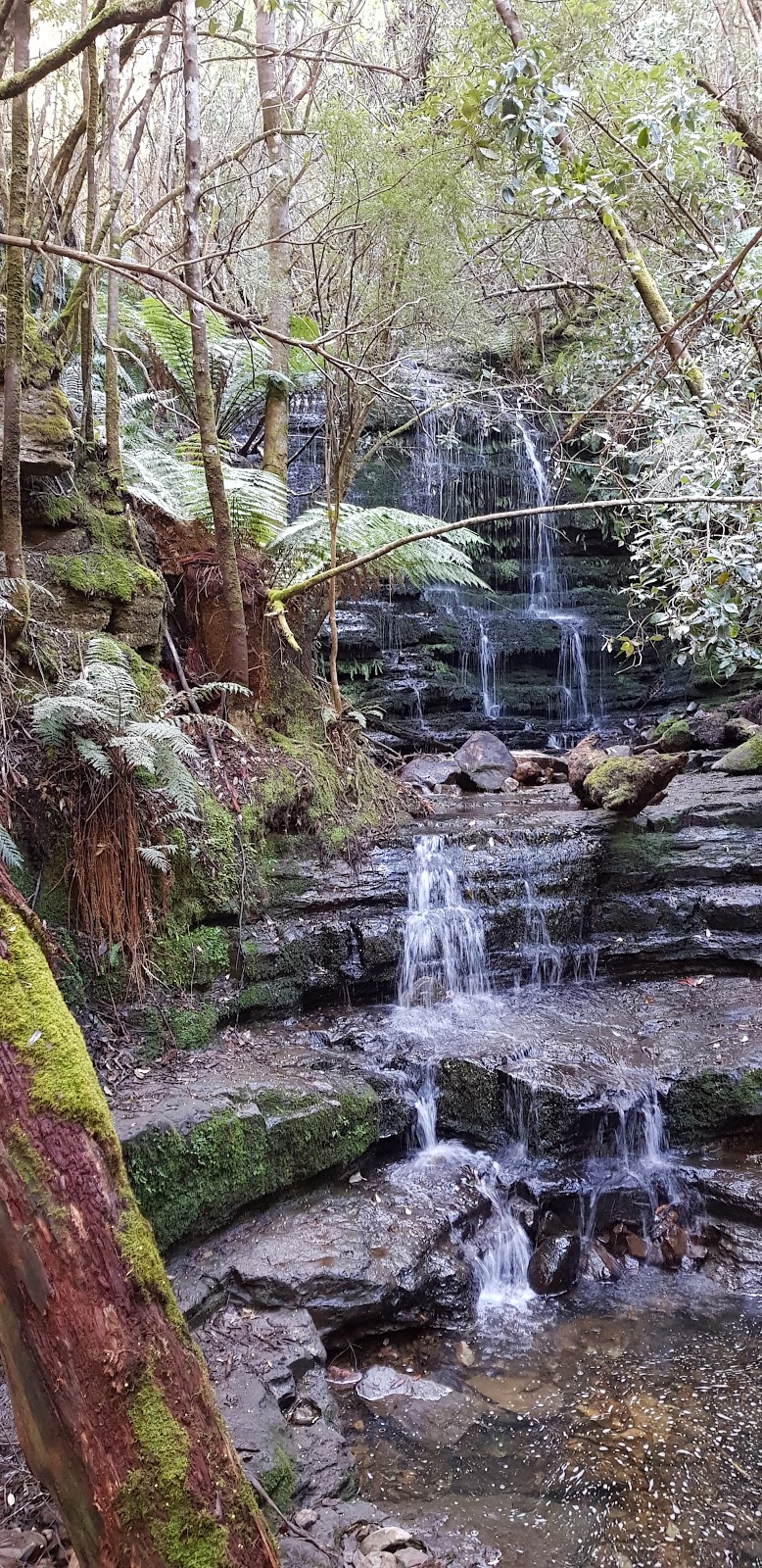 Cascades Track | South Hobart TAS 7004, Australia