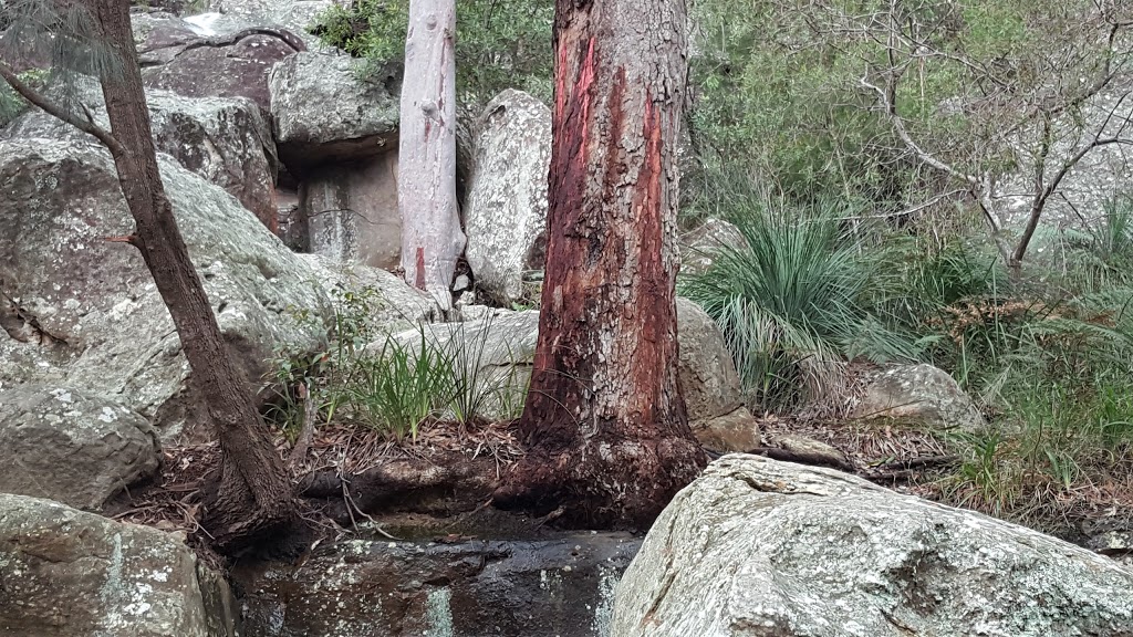 Burnum Burnum Sanctuary | park | 6 Prince Edward Park Rd, Woronora NSW 2232, Australia | 0297100231 OR +61 2 9710 0231