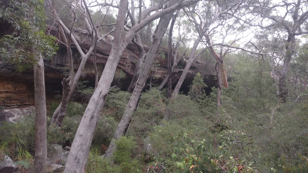 Pindar Cave (Brisbane Water National Park) | campground | Pindar Walking Track, Wondabyne NSW 2256, Australia | 0243204200 OR +61 2 4320 4200