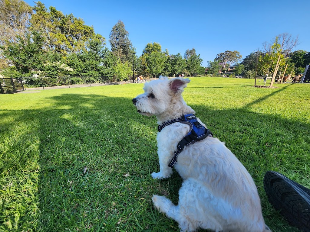 West Epping Park Dog Off-leash Area | 6 Grant Cl, Epping NSW 2121, Australia | Phone: 1300 617 058