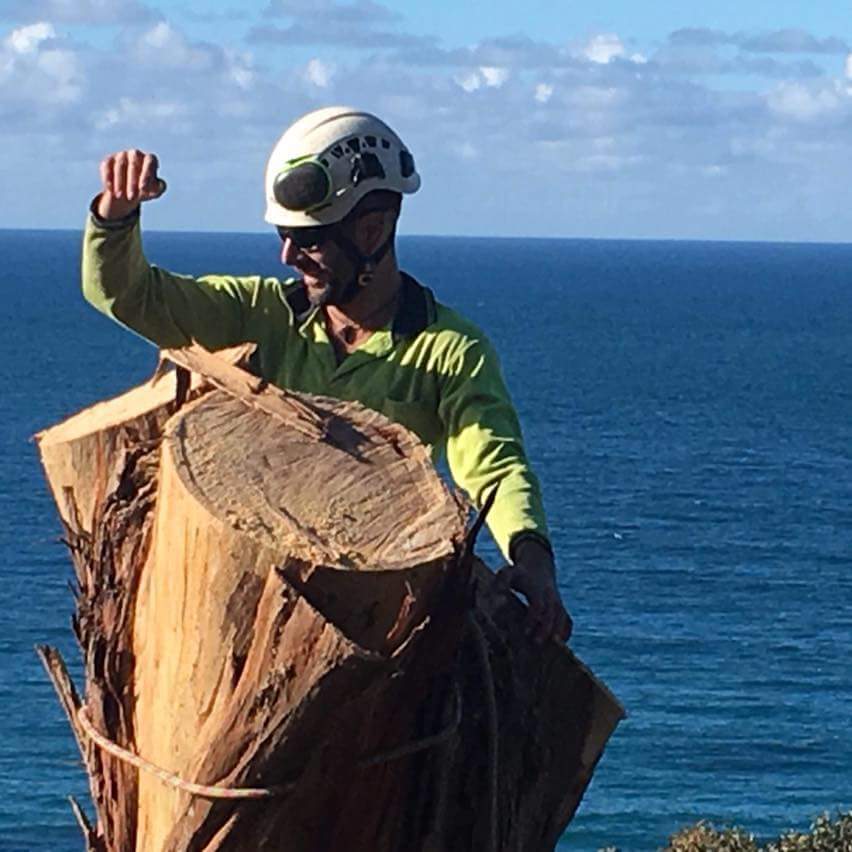 Surfcoast Tree Services | 17 Inverlochy St, Anglesea VIC 3230, Australia | Phone: (03) 5263 2848