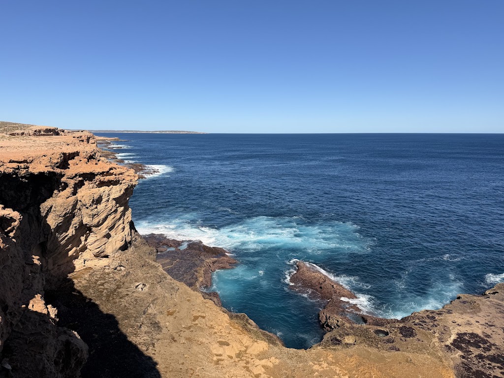 Island Life Adventures | Denham Commercial Jetty, Denham WA 6537, Australia | Phone: (08) 9948 1211