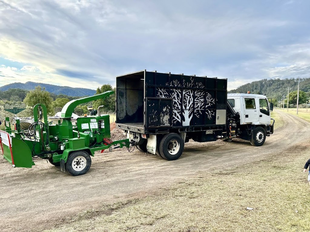 Manning Valley Tree Service | 1774 Lansdowne Rd, Langley Vale NSW 2426, Australia | Phone: 0422 287 384