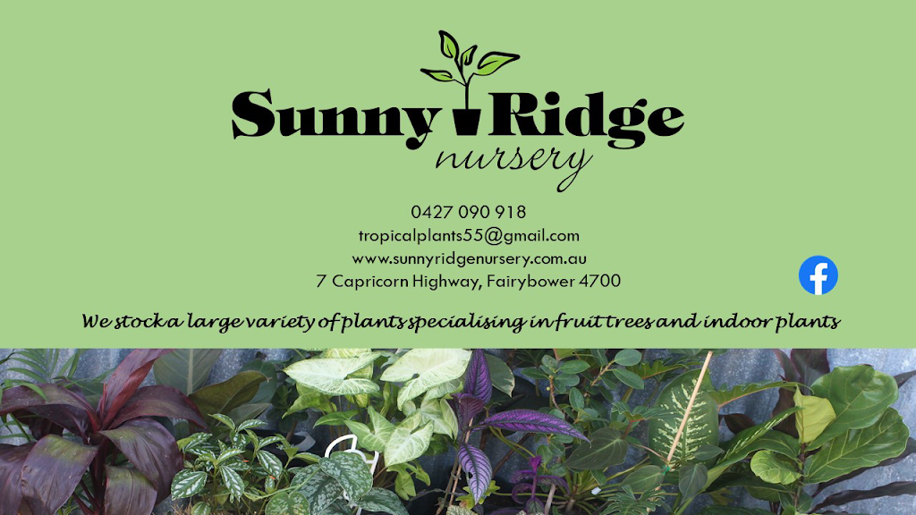 Sunny ridge nursery | Golf Driving Range, 7 Capricorn Highway, Fairy Bower QLD 4700, Australia | Phone: 0427 090 918