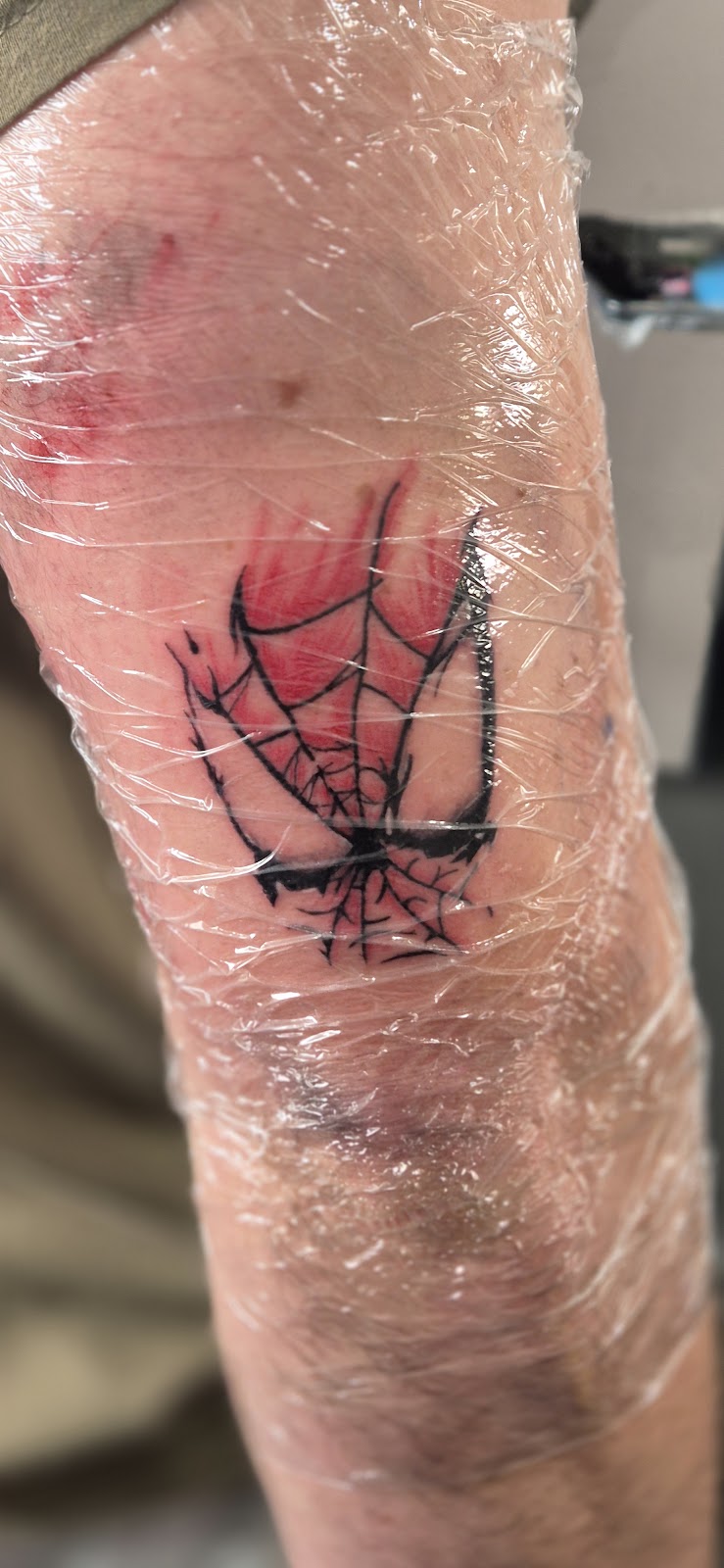 Westie Tattoos | 79 Carp St, Bega NSW 2550, Australia | Phone: (02) 6494 7836