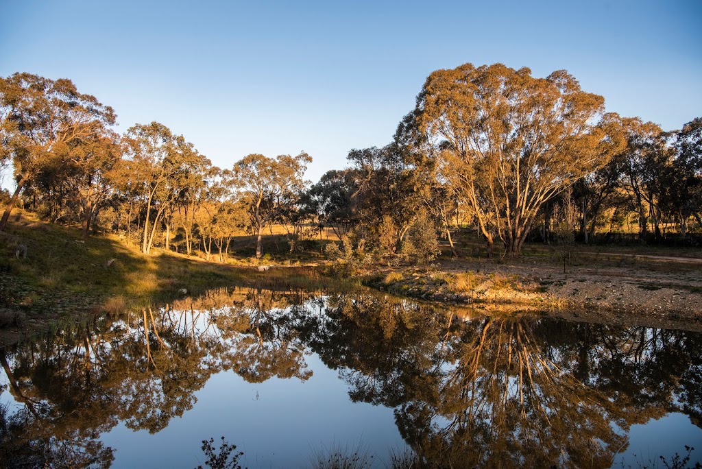 Kundalini Lodge | lodging | 543 Windeyer Rd, Grattai NSW 2850, Australia | 0492928516 OR +61 492 928 516