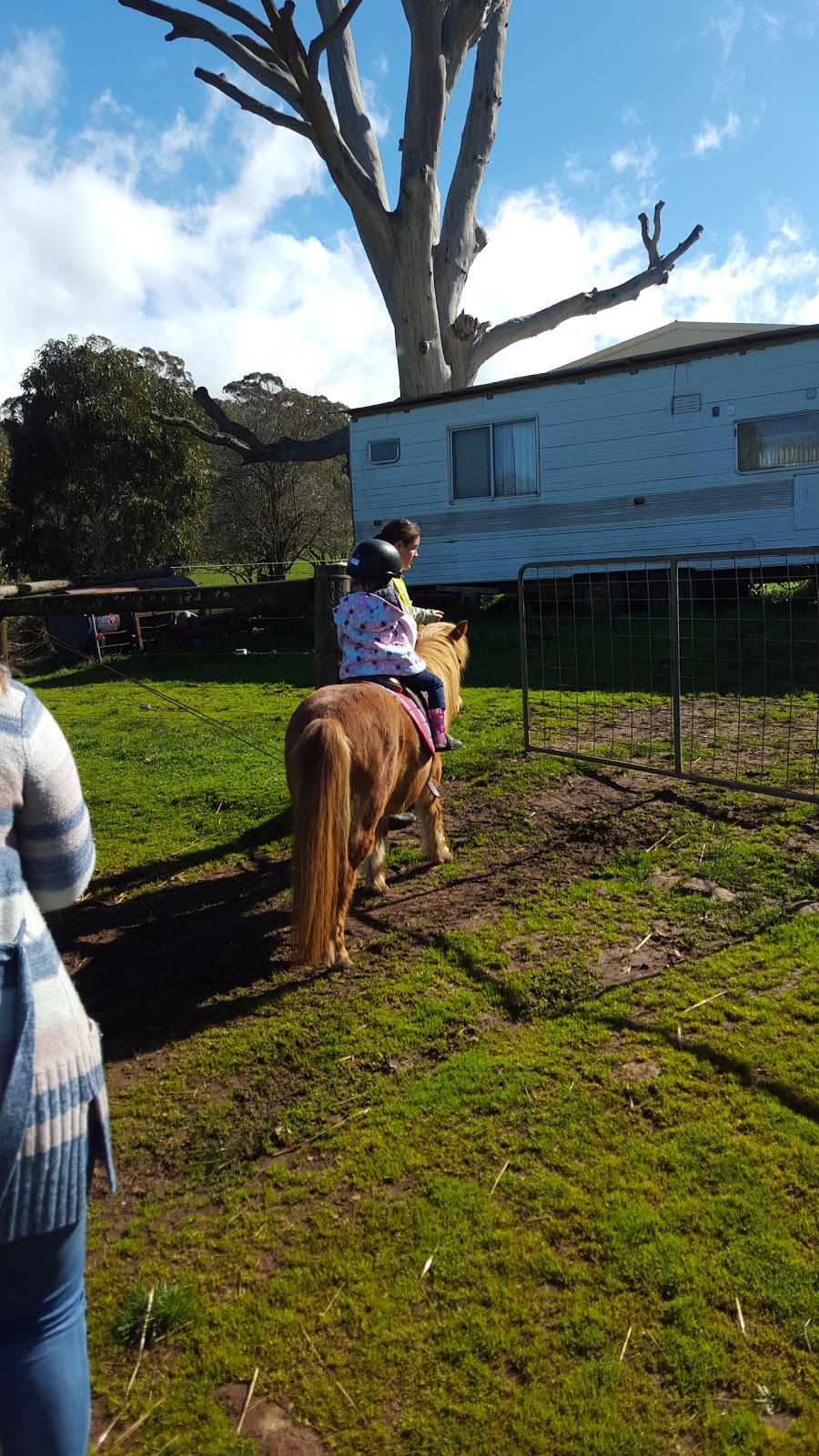 Four Oaks Farm | Downing Rd, Littlehampton SA 5250, Australia | Phone: (08) 8388 6361