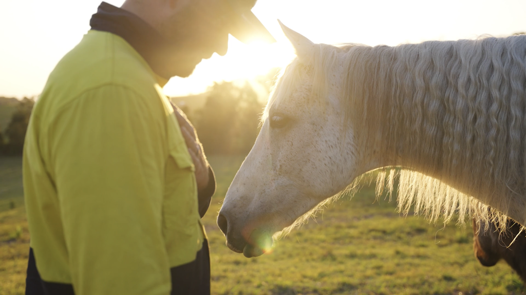 Finding Clarity Equine Assisted Therapy | Old Bagotville Rd, Bagotville NSW 2477, Australia | Phone: 0420 904 503