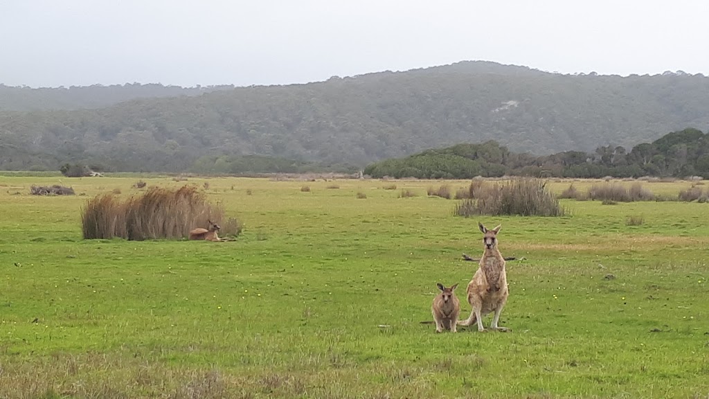 Narawntapu National Park, Parks and Wildlife Service | 1349 Bakers Beach Rd, Bakers Beach TAS 7307, Australia | Phone: (03) 6428 6277