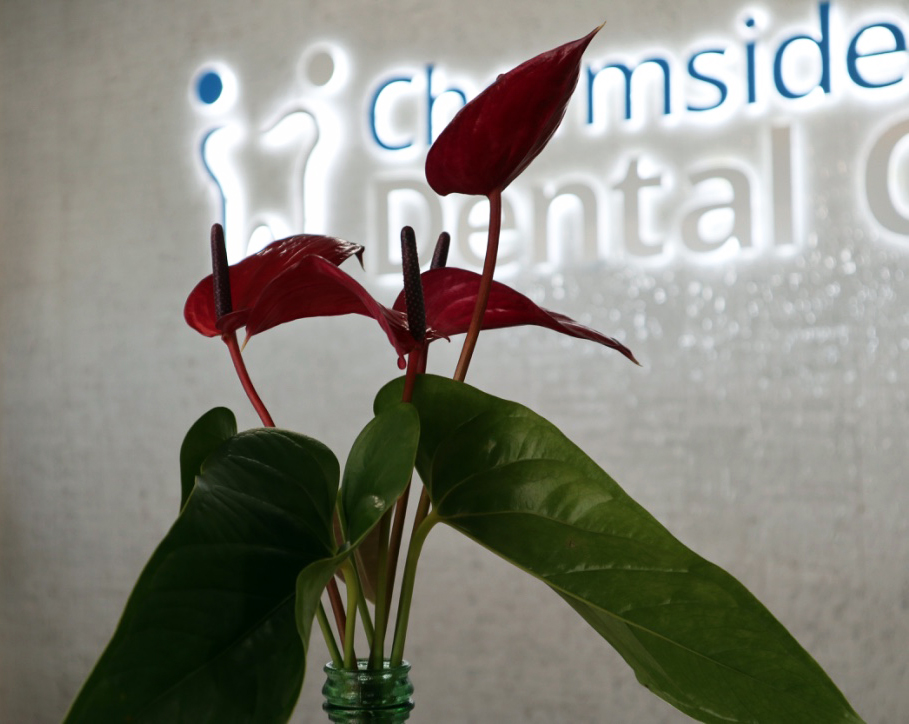 Chermside Dental Care | dentist | 793 Gympie Rd, Chermside QLD 4032, Australia | 0733591611 OR +61 7 3359 1611