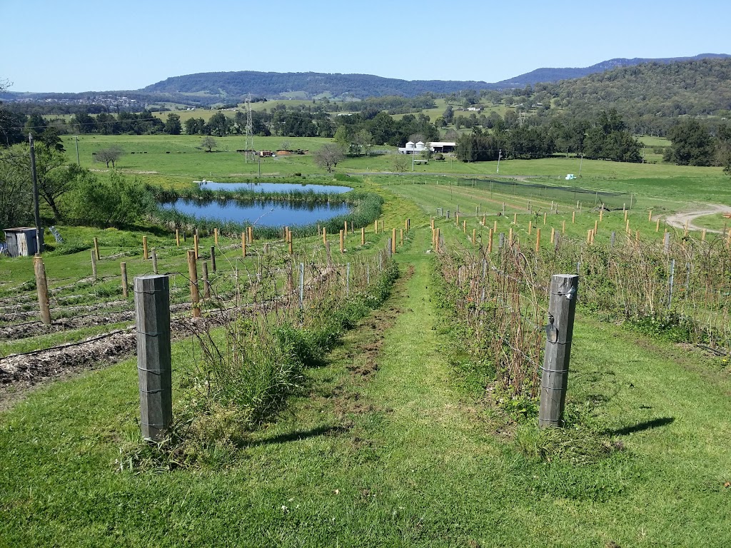 Kareelah Berry Farm | store | 522 Marshall Mount Rd, Marshall Mount NSW 2530, Australia