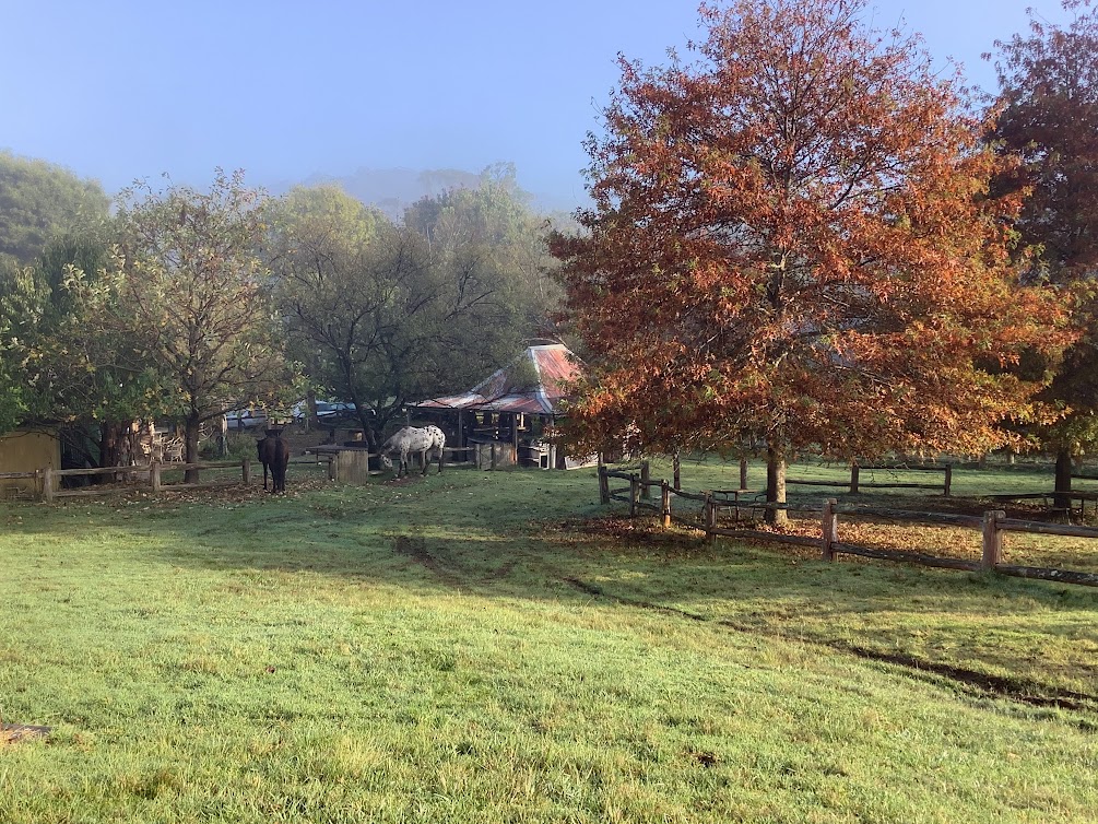 Megalong Farm Camping | 993 Megalong Rd, Megalong Valley NSW 2785, Australia | Phone: 0476 500 007