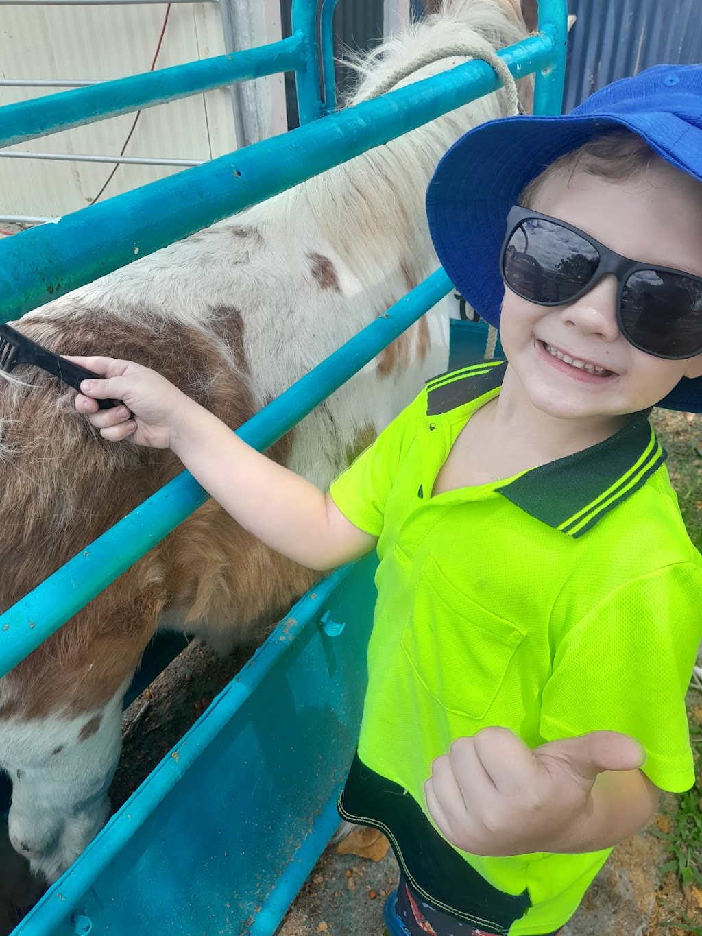 Ability 2 discover | 758 Rosewood Marburg Rd, Marburg QLD 4346, Australia | Phone: 0438 767 974