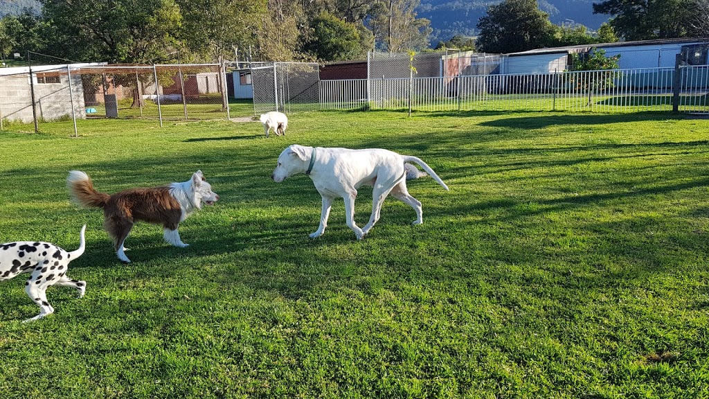 Meroo Kennels and Cattery | veterinary care | 20 Lamonds Ln, Meroo Meadow NSW 2540, Australia | 0434121770 OR +61 434 121 770