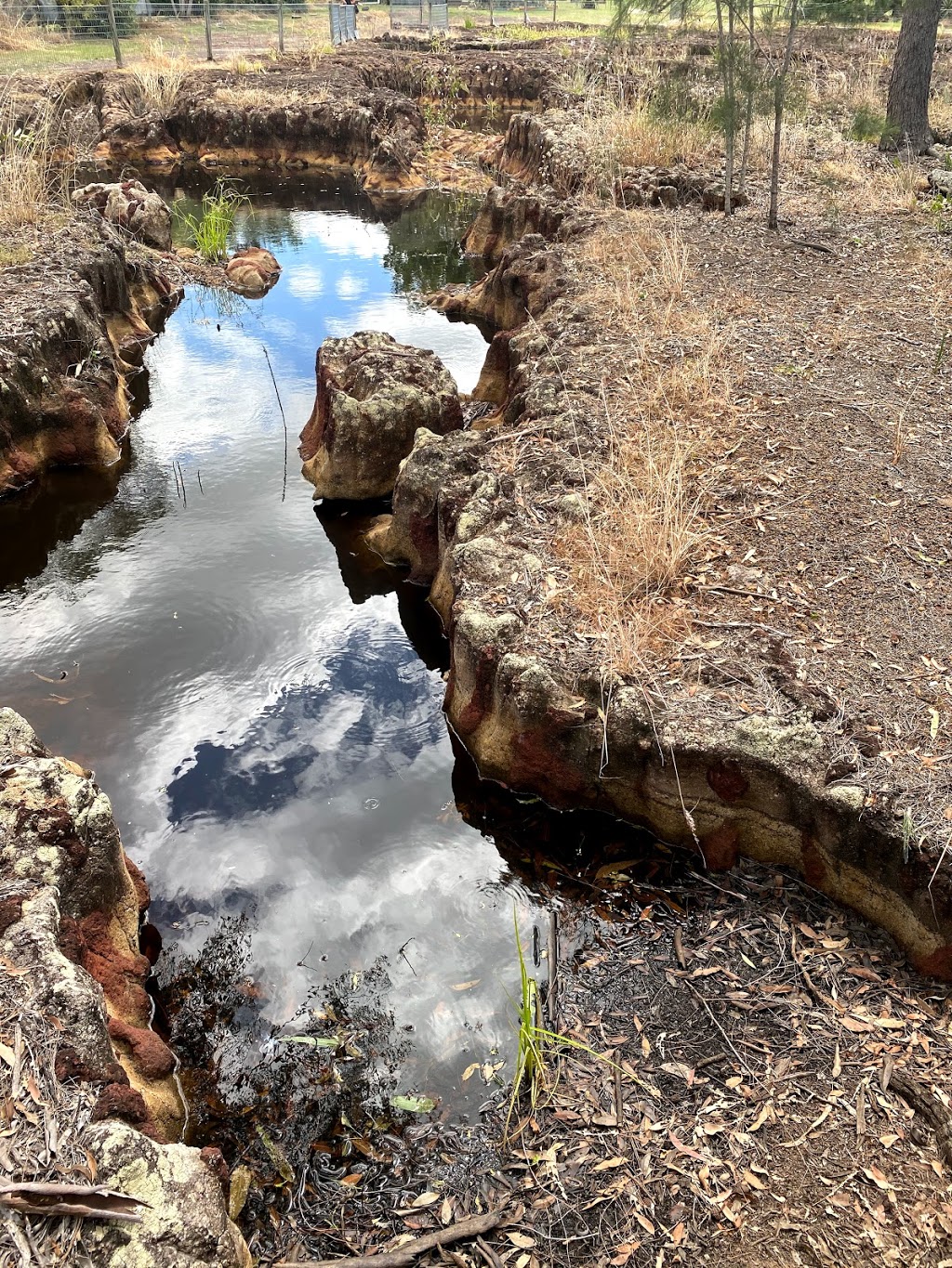 mystery craters | tourist attraction | 15 Lines Rd, South Kolan QLD 4670, Australia | 0741577291 OR +61 7 4157 7291