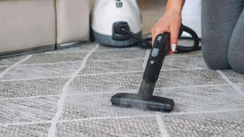 Sydney Cleaning & Pest Control Services | 24 Highview St, Blacktown NSW 2148, Australia | Phone: 0415 431 307