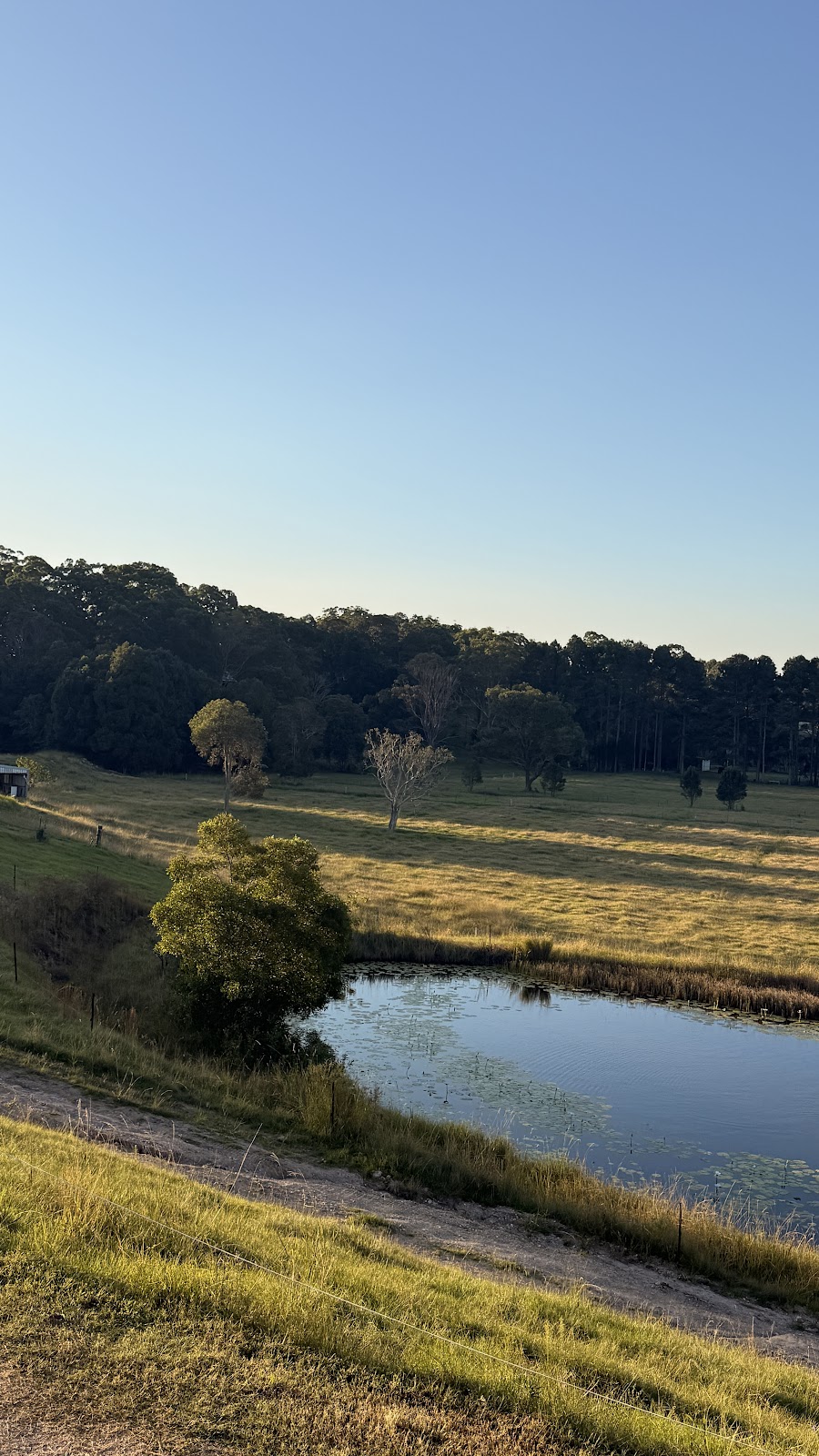 Niched Marketing | 154 Kanes Rd, Round Mountain NSW 2484, Australia | Phone: 0426 880 758